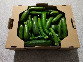 Ofrezco a la venta calabacín cultivado sin fertilizante en