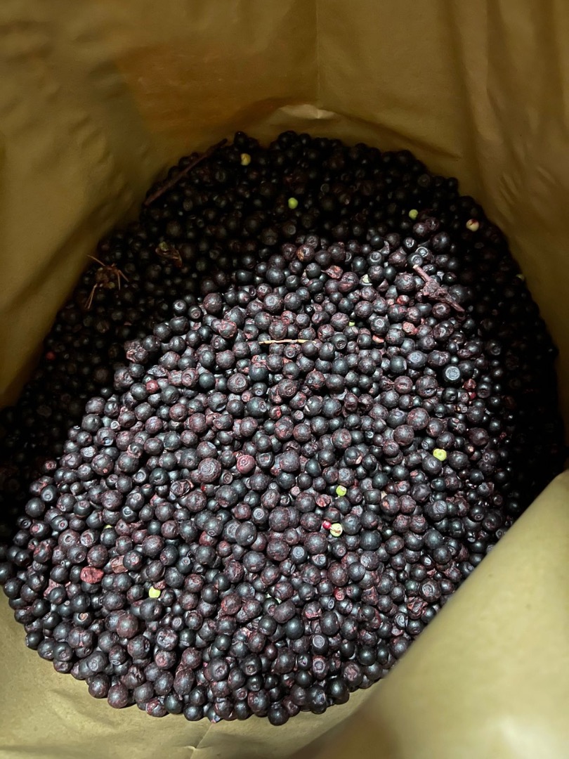 Vendo frutos del bosque congelados IQF Klass B empacados en sacos de 25 kg 40 toneladas
