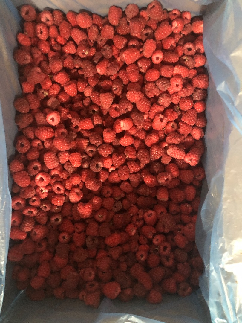 Venderé frambuesa congelada 80/20
