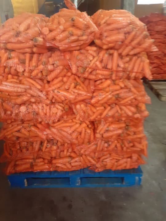 Vendo zanahorias pequeñas lavadas para forraje a 30 céntimos el kilo