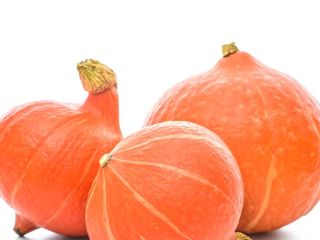 Compraré una calabaza de Hokkaido en grandes cantidades.