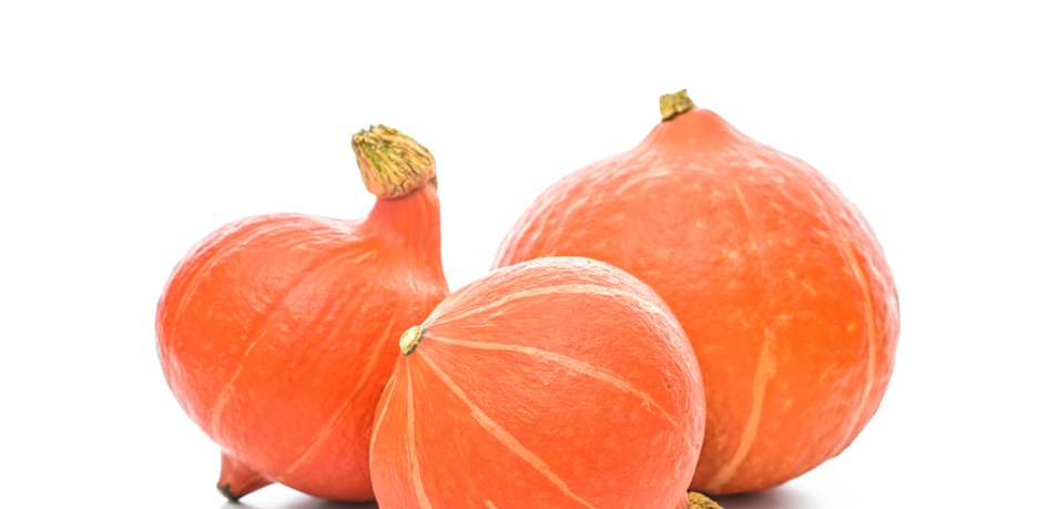 Compraré una calabaza de Hokkaido en grandes cantidades