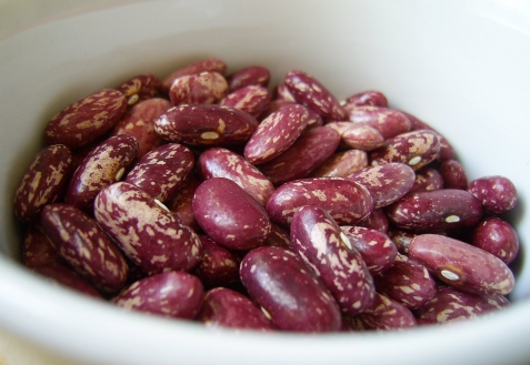 Frijoles rojos / de colores envasados en sacos de 25 kg