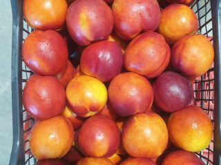 nectarinas, melocotones, ciruelas, peras, membrillos a precio del productor