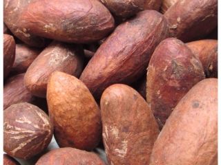Vendemos cola amarga de alta calidad cultivada en Nigeria.