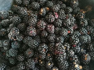 Moras sin pulverizar, tratadas únicamente con abono natural, de