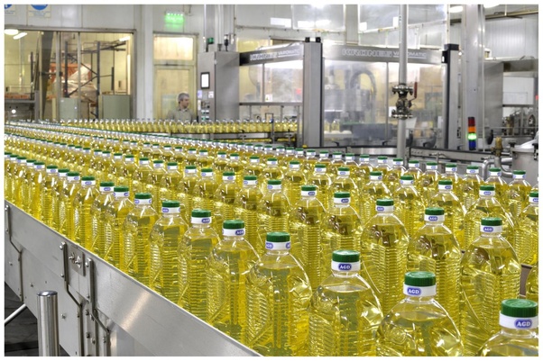 Aceite de Girasol al por mayor, Aceite de Girasol