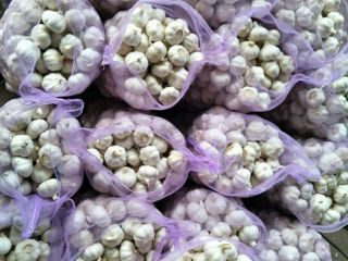Especificación y embalaje: el ajo blanco normal y el