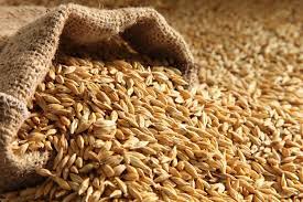 Somos los mejores proveedores de productos agrícolas de calidad, no dude en contactarnos con su pedido y sea feliz haciendo negocios con nosotros..