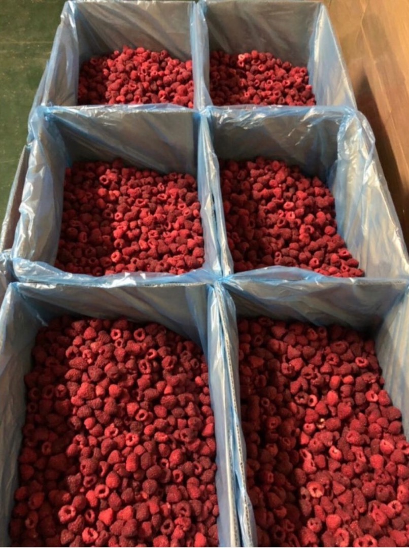 Tenemos en stock Frambuesa fabricada en polo, envasada en sacos de 10kg, precio: 4€ Granos de frambuesa, envasada en sacos de 25kg, precio: 4,7€ Frambuesa