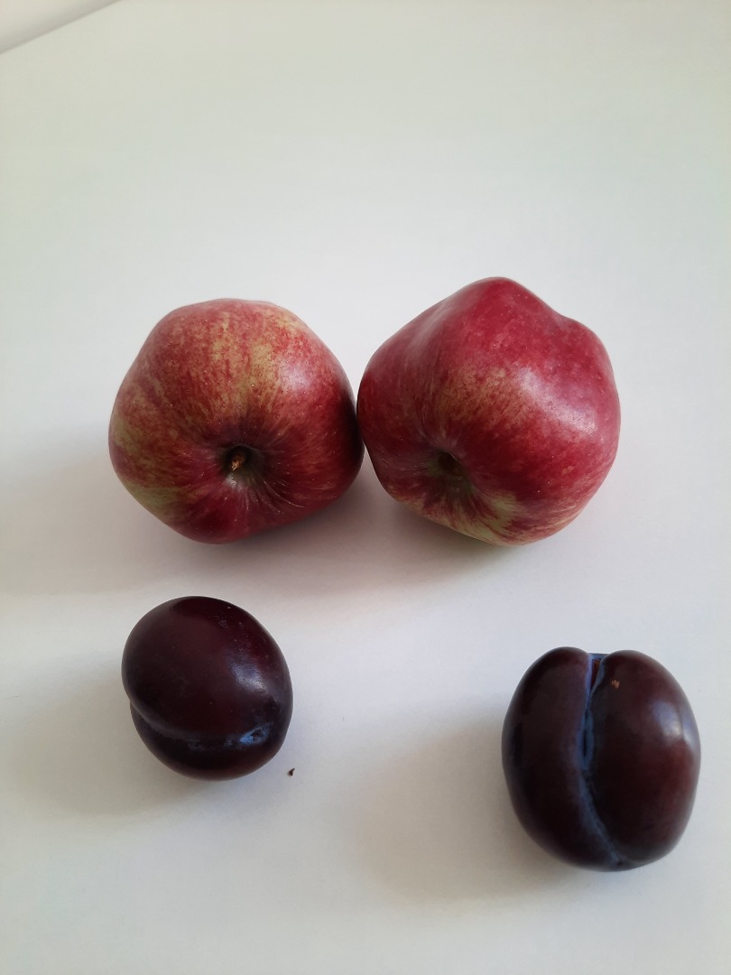 Vendo hermosa fruta recolectada directamente del huerto, tengo cualquier cantidad a la venta :) Más información por teléfono o en el mensaje :) Manzana