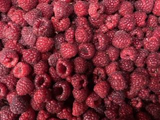 Variedad: Mix/Polka 90/10 - 4,3 Euro 80/20 - 4,20