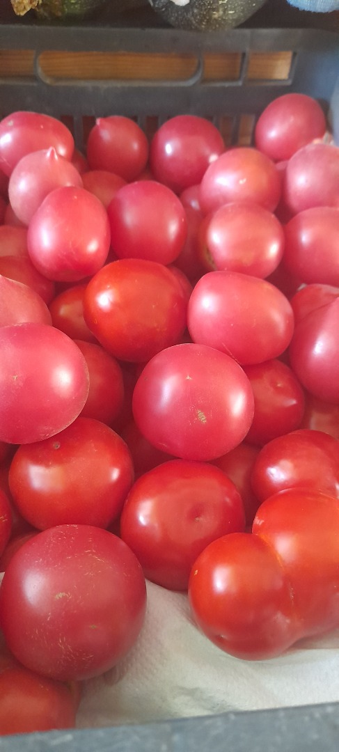 Venderé tomates molidos, precio 4 PLN por kg