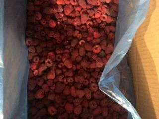 Semiproducto de frambuesa (original) congelado, 10 kg cada uno,