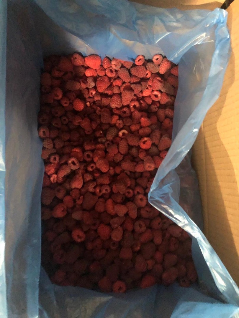 Semiproducto de frambuesa (original) congelado, 10 kg cada uno, precio 4,2 €