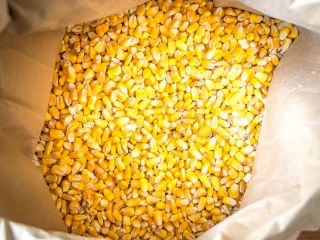 Maíz amarillo Maíz amarillo/Especificación de maíz: Nombre del producto