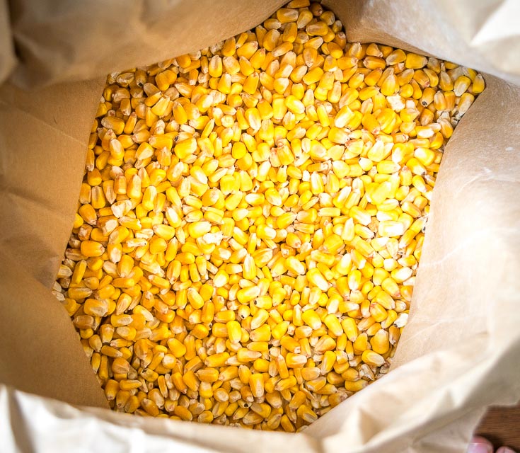 Maíz amarillo Maíz amarillo/Especificación de maíz: Nombre del producto - Cosecha de maíz amarillo - Año actual Humedad -14 % Pureza máxima -99 % Mín