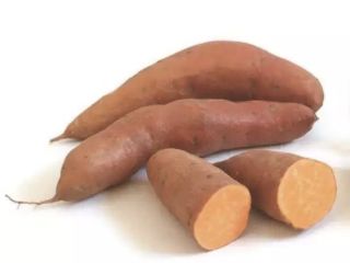Camote Somos la principal empresa exportadora africana de productos