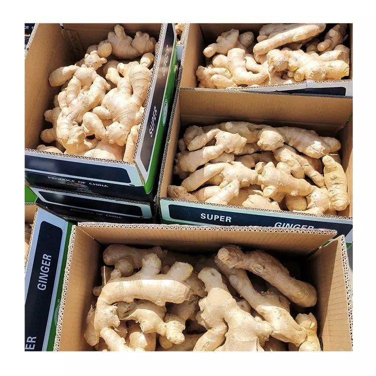 Detalles rápidos Estilo: Fresco, Orgánico Tipo: Jengibre Variedad: Jengibre Tipo de cultivo: Orgánico Peso (kg): 10 Lugar de origen: Kenia Número de modelo: