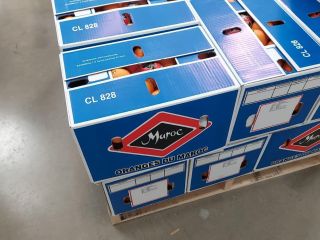 Ofrecemos naranjas marroquíes "Valencia late" a precios especiales. ¡Calidad