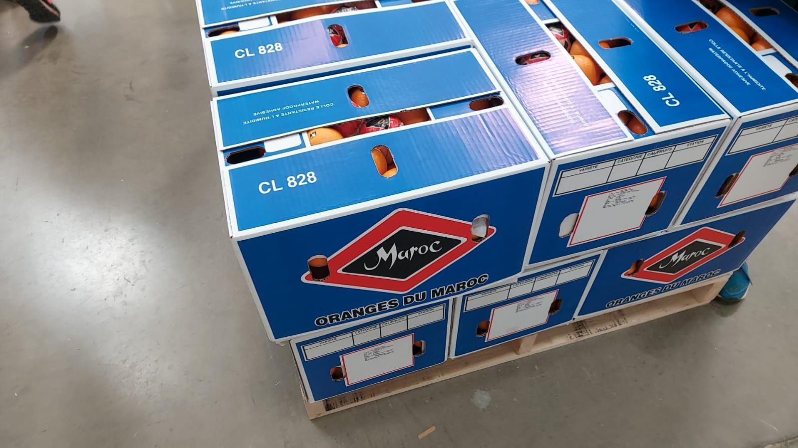 ¡Exprime jugo de naranjas! Ofrecemos naranjas marroquíes "Valencia late" a precios especiales
