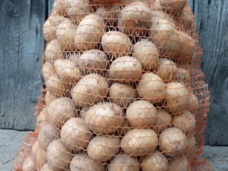 Venderé papas nuevas directamente del agricultor. Variedad Gala. Envasado