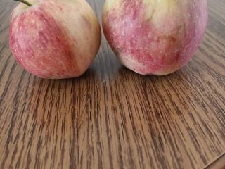 Venderé manzanas orgánicas.
