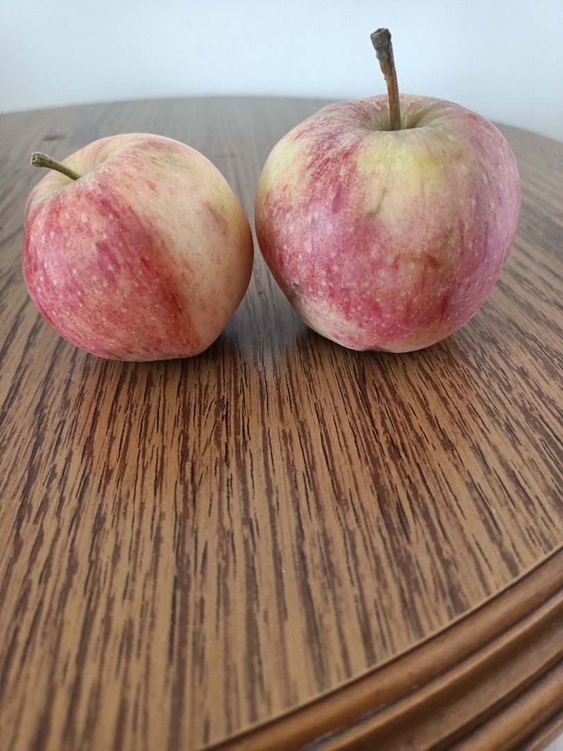 Venderé manzanas orgánicas