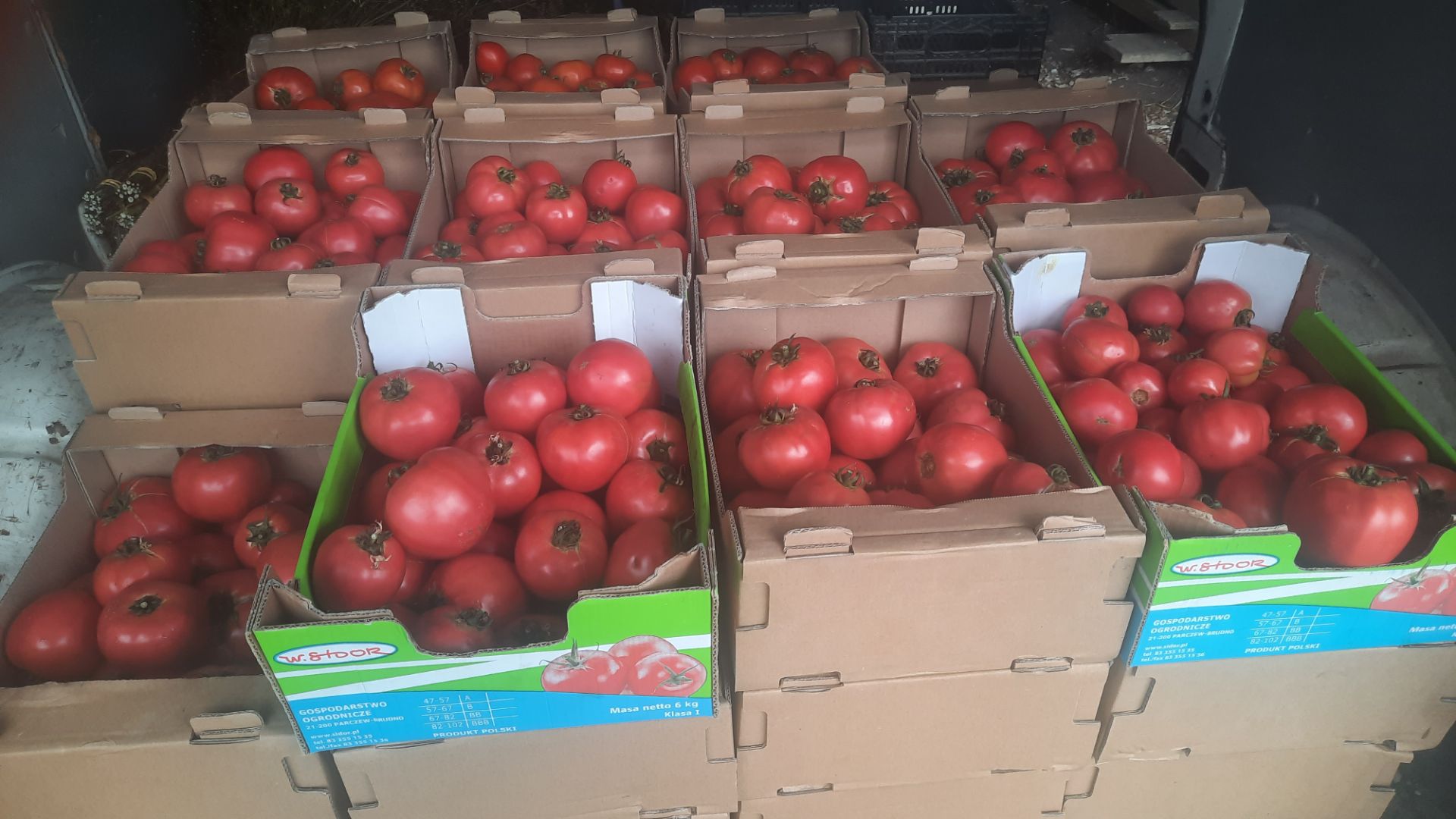 Vendo tomates frambuesa Muy sabrosos, dulces, perfectos para conservas