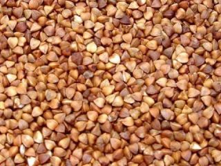 El productor vende trigo sarraceno para la exportación. Condiciones
