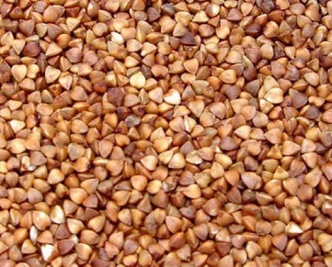 El productor vende trigo sarraceno para la exportación