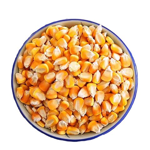 Exportador de granos a granel Maíz seco Precio mayorista Maíz seco descascarillado Nombre Exportador de granos a granel Precio mayorista de maíz seco Maíz