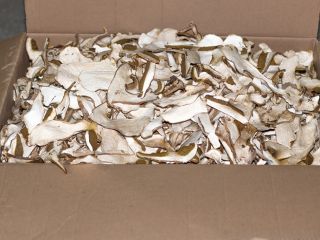 Vendo hongos secos, frescos y congelados.
