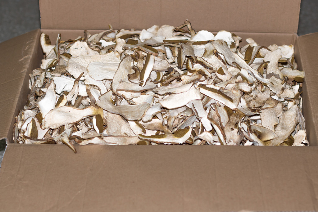 Vendo hongos secos, frescos y congelados