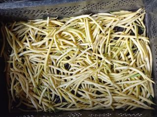 Venderé grandes cantidades de frijoles verdes y amarillos.