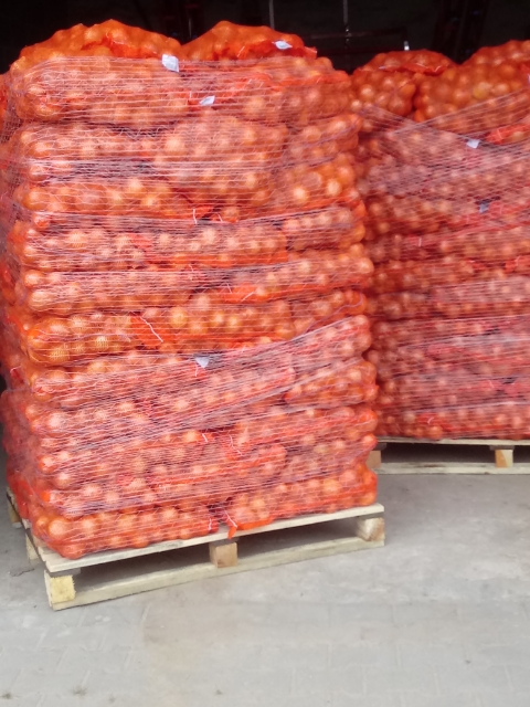 Compro cebollas
