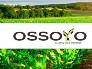 La comercializadora de cereales "Ossoyo" vende trigo, girasol, cebada,