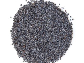 Buenos días, compraré semillas de amapola azul. Pago rápido