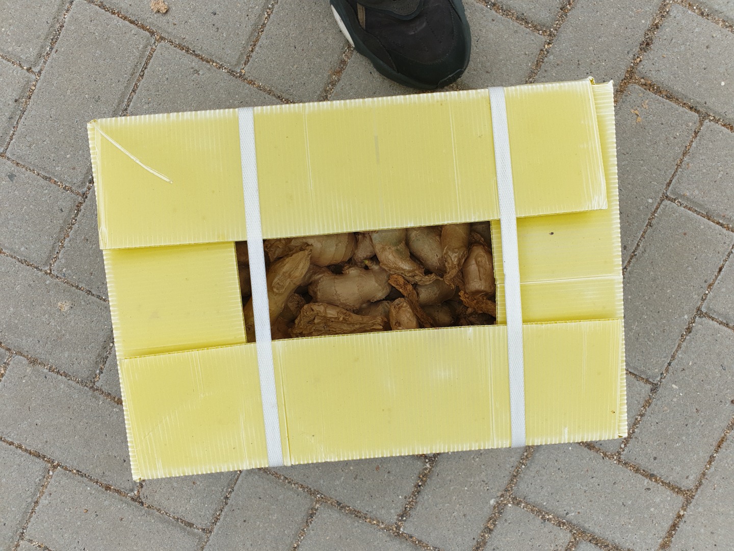ME GUSTA VENTA MUY RÁPIDA O ENVASADO EN CARTONES 12,5 KG o incluso un camión continental