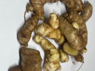 CÚRCUMA SILVESTRE, ORGÁNICA Y BIO - KURKUMA cúrcuma silvestre