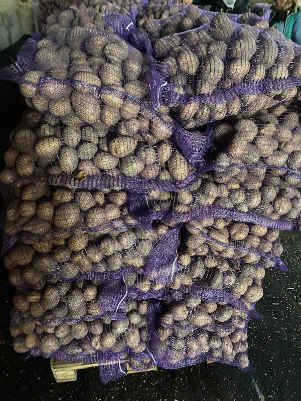 Venderé patatas de calidad alimentaria al por mayor