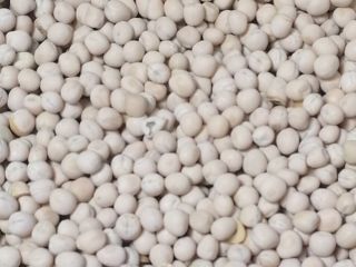 Los guisantes tienen una aplicación de alimentación multipropósito: los