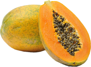 Suministramos frutas de papaya frescas de alta calidad de agricultores etíopes a distribuidores y minoristas en África, Medio Oriente, Asia y Europa