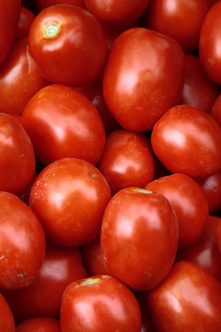 Tomates de campo, perfectos para conservas