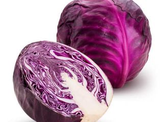 Tenemos un excelente repollo rojo bien cultivado en nuestras