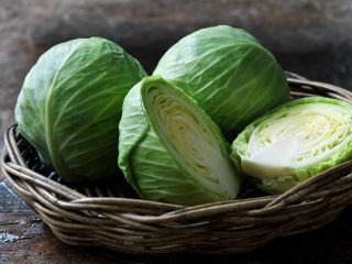 Tenemos un excelente repollo rojo bien cultivado en nuestras