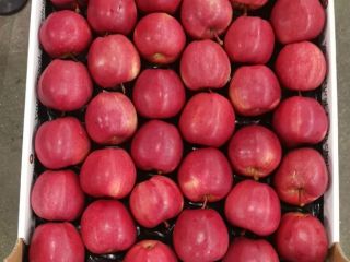 Buenos días. Te ofrezco una hermosa manzana, Gala. Embalado