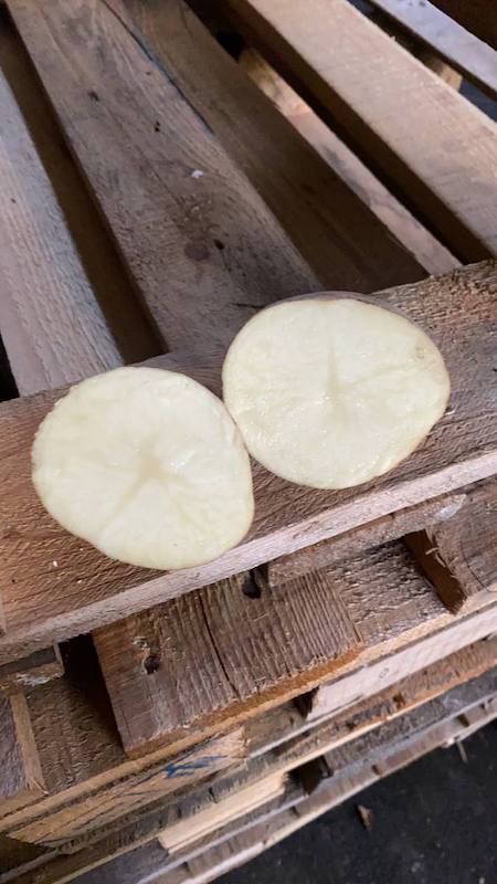 Vendemos papas alimenticias al por mayor