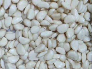 Ofrece ajo blanco pelado. Embalaje a convenir. 5 toneladas