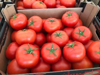 hola tengo a la venta un tomate rojo precio